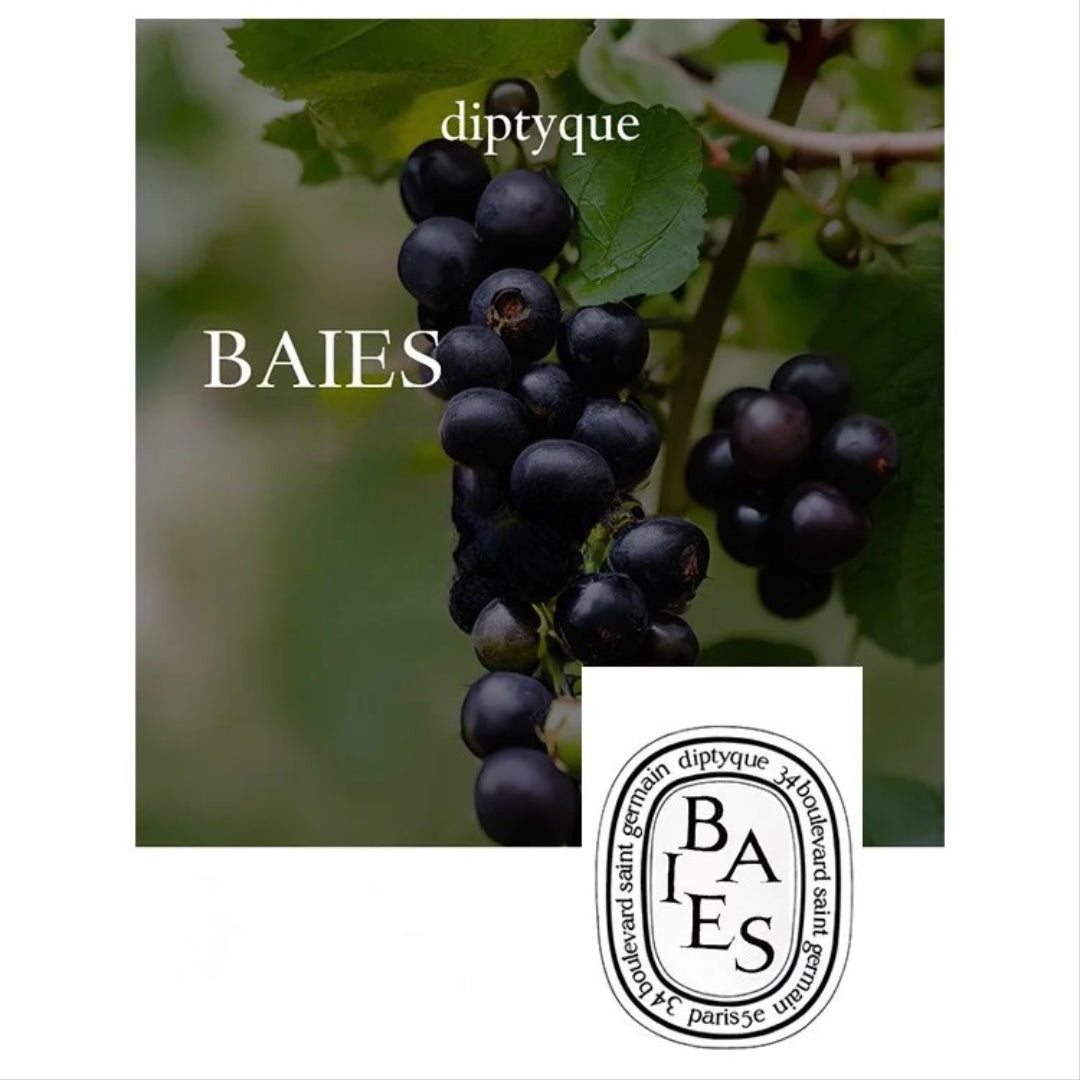 Diptyque Premium Scented Candles Collection – French-Made Luxury for Home & Gift