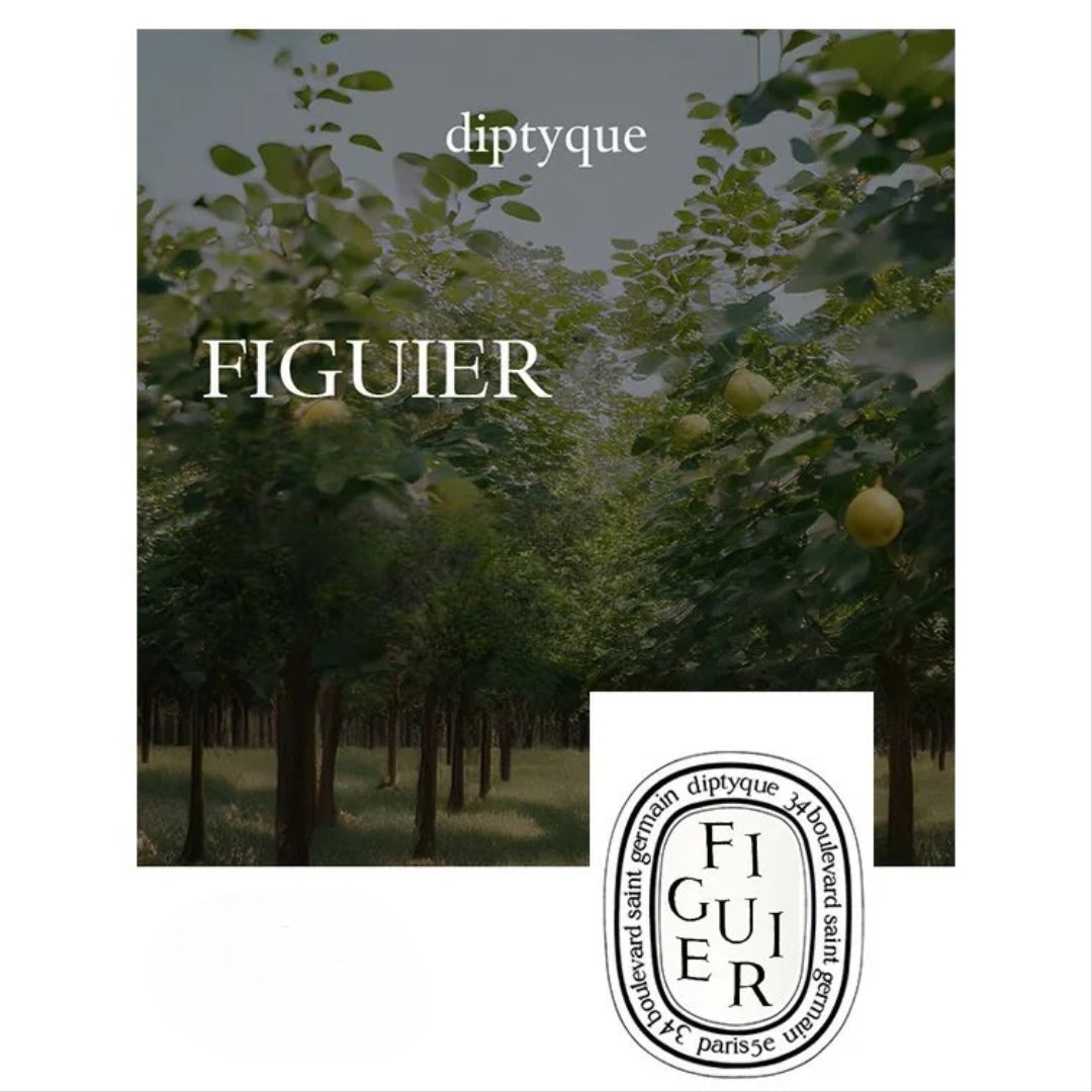 Diptyque Premium Scented Candles Collection – French-Made Luxury for Home & Gift