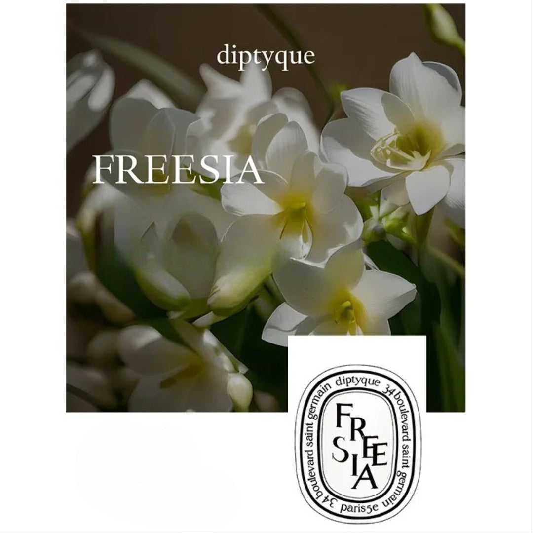 Diptyque Premium Scented Candles Collection – French-Made Luxury for Home & Gift