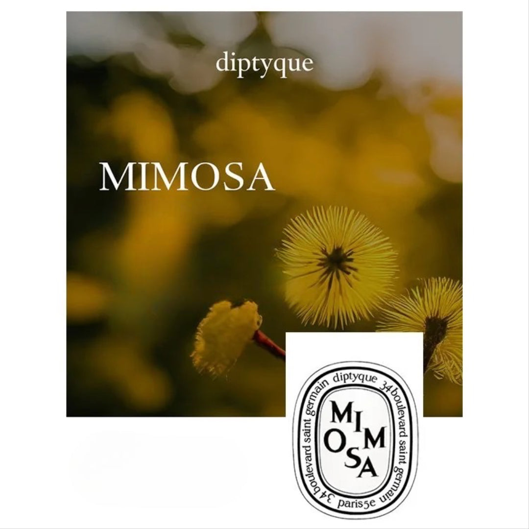 Diptyque Premium Scented Candles Collection – French-Made Luxury for Home & Gift