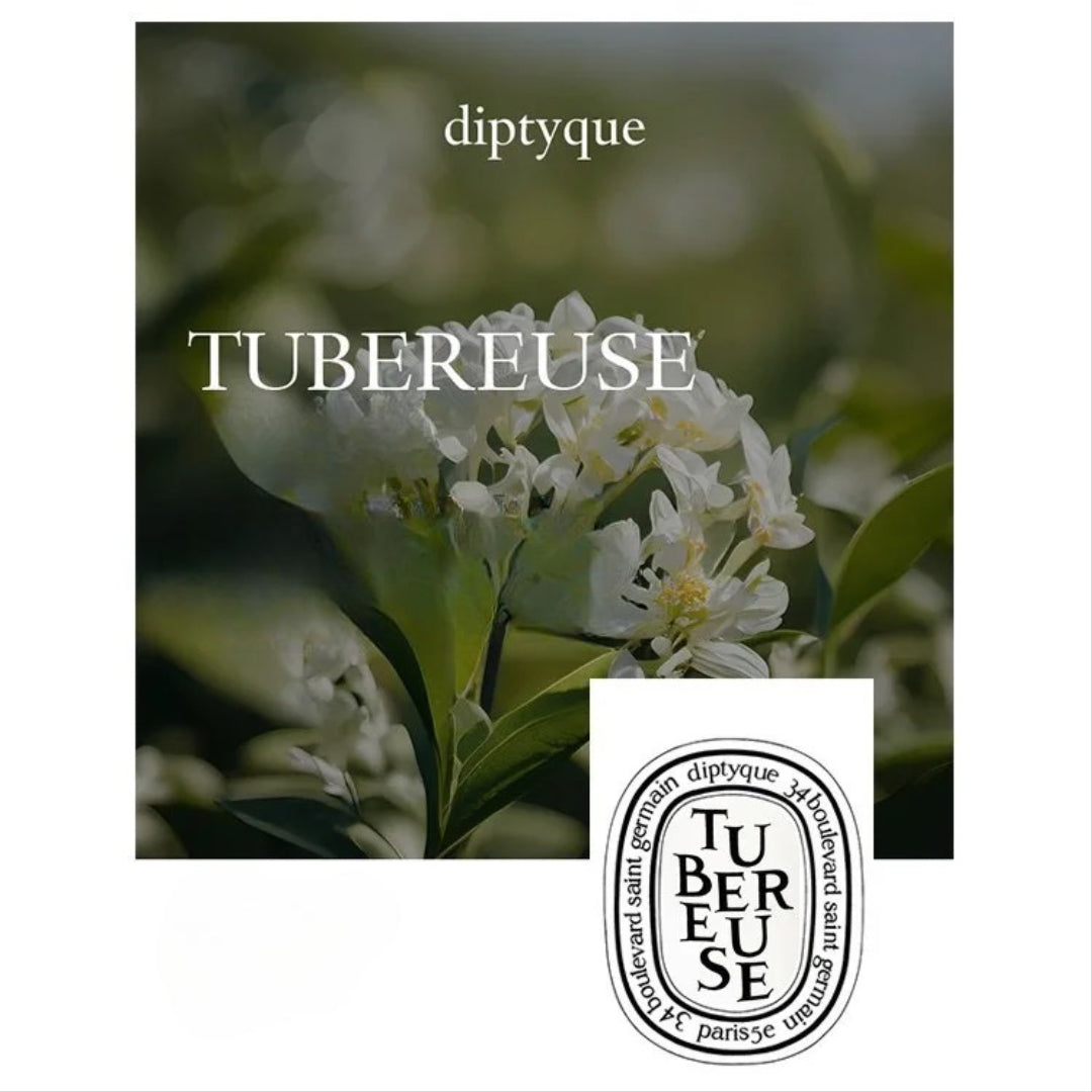 Diptyque Premium Scented Candles Collection – French-Made Luxury for Home & Gift